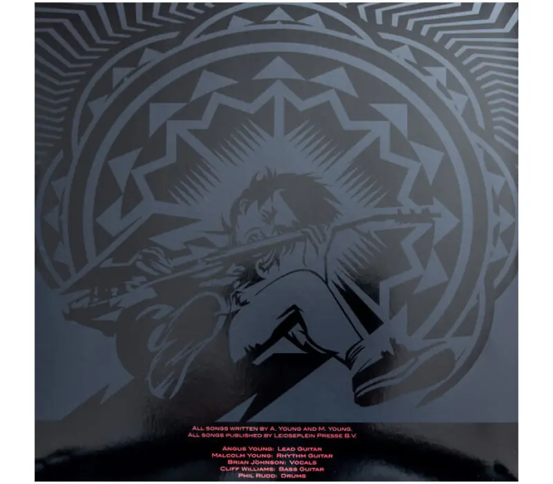 Виниловая пластинка AC/DC – Black Ice, Kinodrive.kz — фото 2