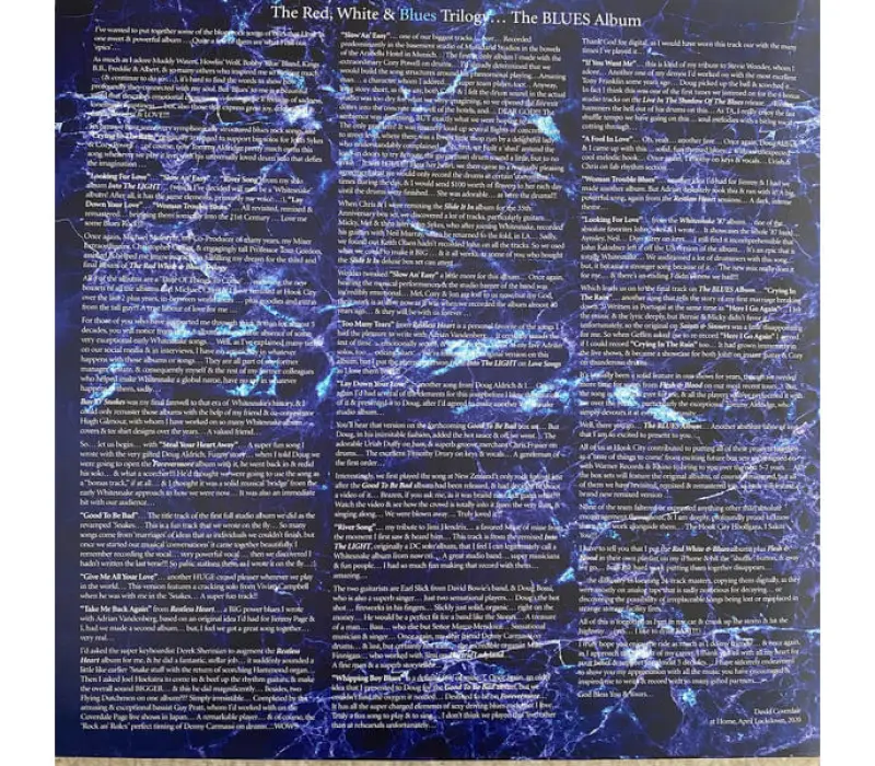 Виниловая пластинка Whitesnake – The Blues Album, Kinodrive.kz — фото 4