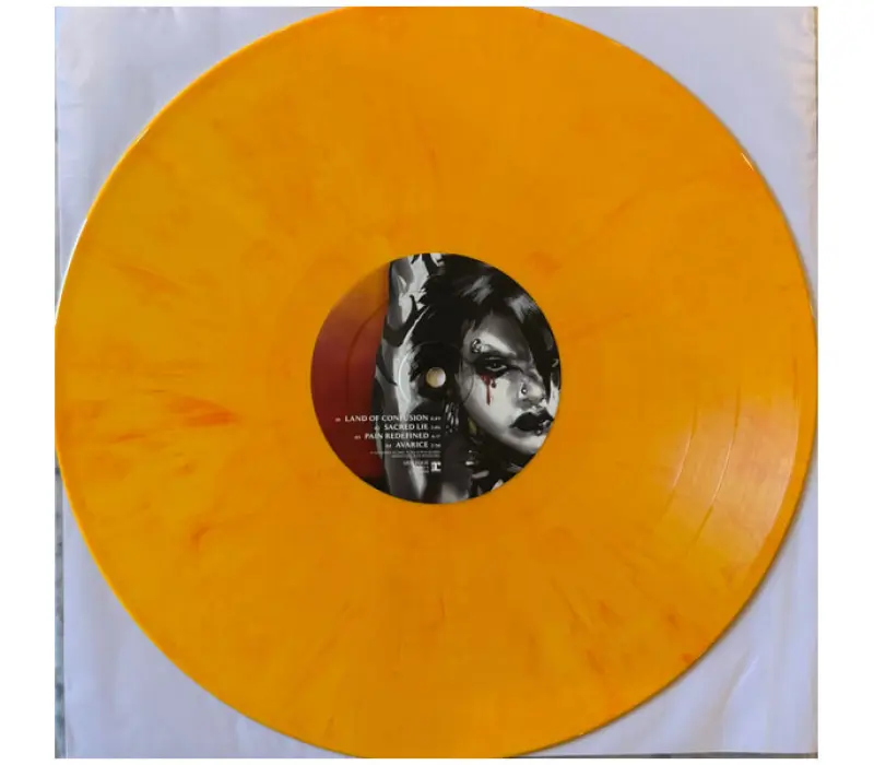 Виниловая пластинка Disturbed – Ten Thousand Fists, Kinodrive.kz — фото 7