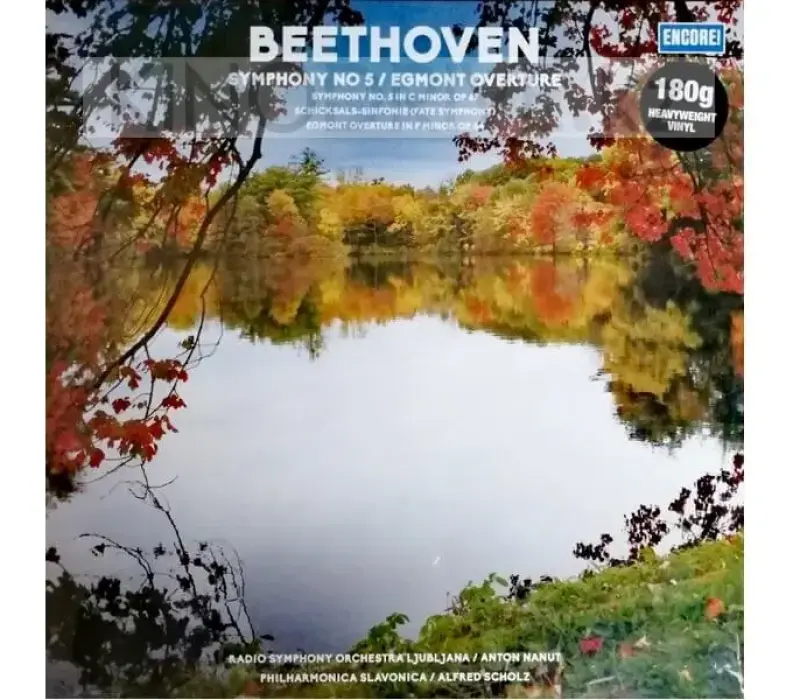 Виниловая пластинка Ludwig van Beethoven – SYMPHONY NO 5 / EGMONT OVERTURE, Kinodrive.kz