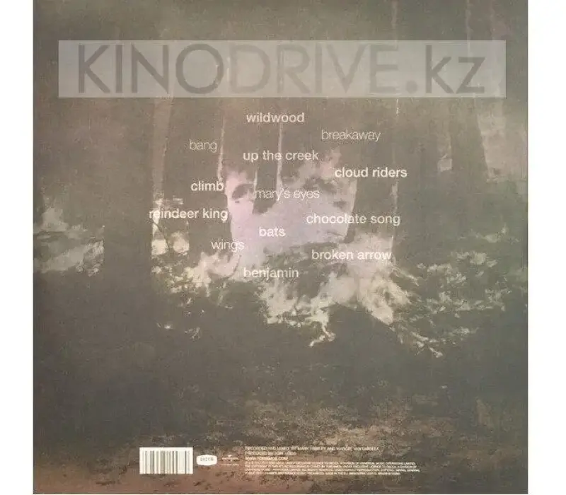 Виниловая пластинка Amos Tori, Native Invader, Kinodrive.kz