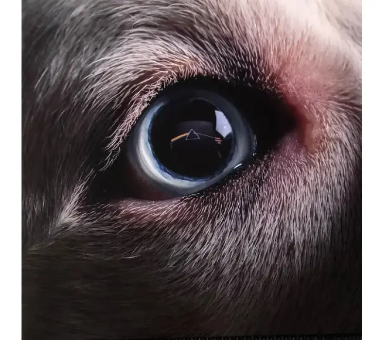 Виниловая пластинка Roger Waters – The Dark Side Of The Moon Redux, Kinodrive.kz