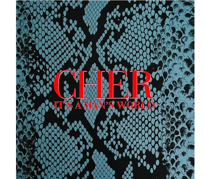 Виниловая пластинка Cher – It's A Man's World, Kinodrive.kz — фото 1