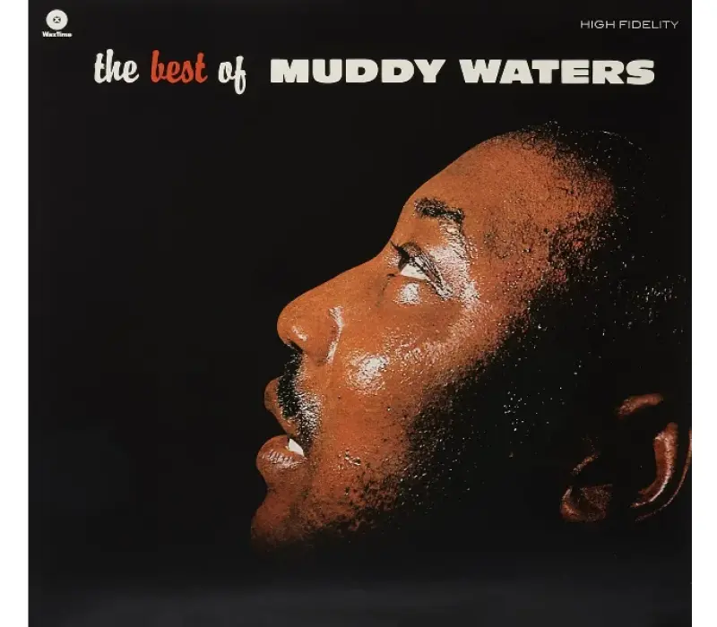 Виниловая пластинка Muddy Waters – The Best Of Muddy Waters, Kinodrive.kz