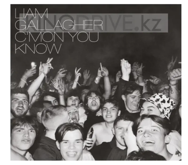 Виниловая пластинка Gallagher, Liam-C'mon You Know -Gatefold-: Warner, Kinodrive.kz — фото 1