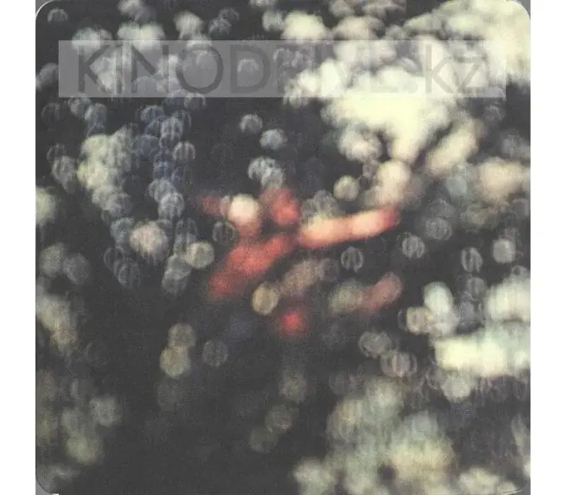 Виниловая пластинка Pink Floyd – Obscured By Clouds: Warner, Kinodrive.kz — фото 1