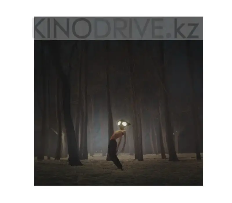 Виниловая пластинка GEESE - PROJECTOR Label: Partisan, Kinodrive.kz — фото 1