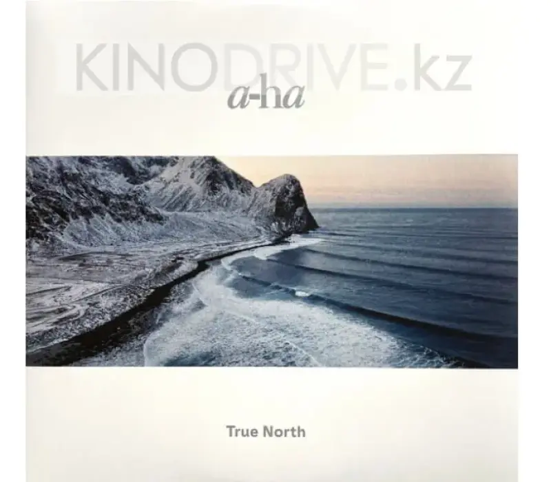 Виниловая пластинка A-Ha - True North: Rca, Kinodrive.kz — фото 1