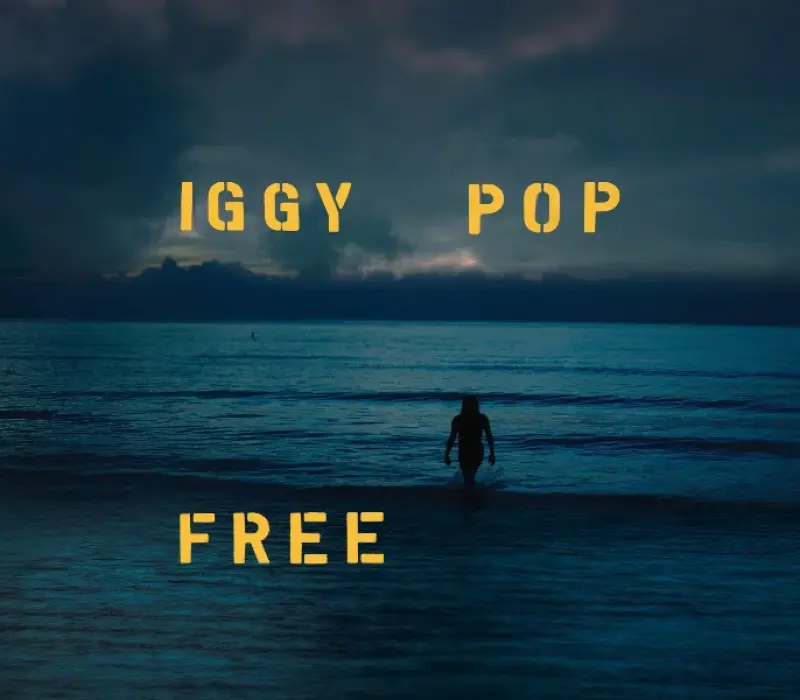 Виниловая пластинка Iggy Pop – Free, Kinodrive.kz — фото 1