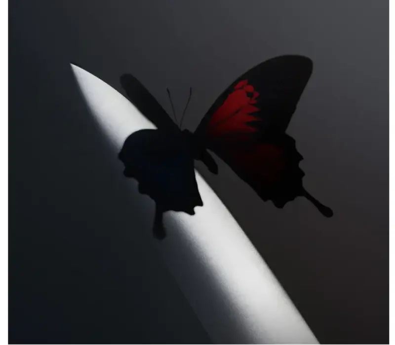 Виниловая пластинка Post Malone – Twelve Carat Toothache, Kinodrive.kz — фото 1