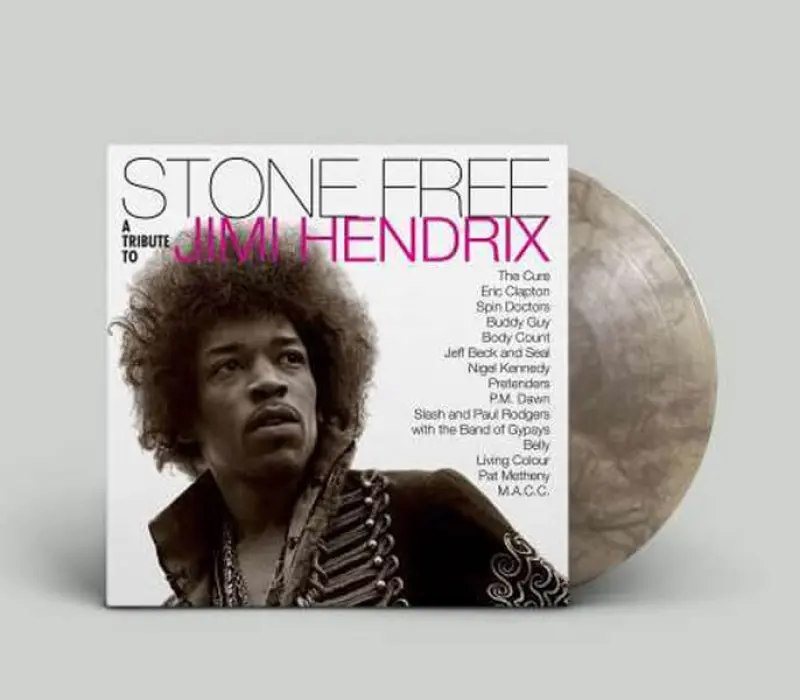 Виниловая пластинка VARIOUS ARTISTS: STONE FREE - A TRIBUTE TO JIMI HENDRIX EAN:0093624895268, Kinodrive.kz &mdash; фото 2