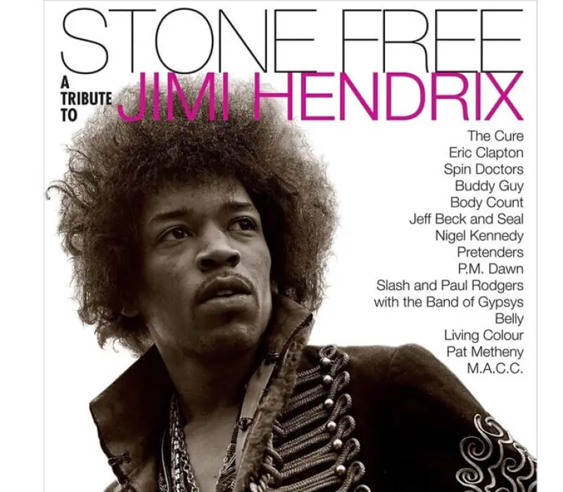 Виниловая пластинка VARIOUS ARTISTS: STONE FREE - A TRIBUTE TO JIMI HENDRIX EAN:0093624895268, Kinodrive.kz