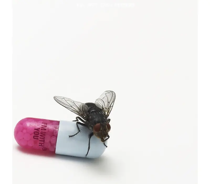 Виниловая пластинка RED HOT CHILI PEPPERS: I'M WITH YOU (2 LP) EAN:0093624956464, Kinodrive.kz &mdash; фото 1