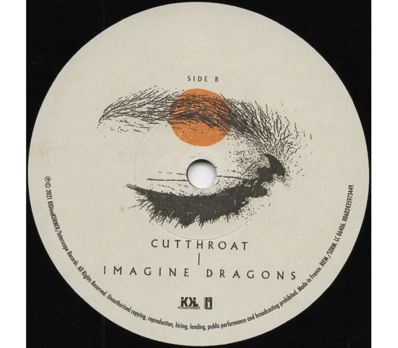 Виниловая пластинка Imagine Dragons-7-Follow You /.. -Indie-: Universal EAN:0602435973449, Kinodrive.kz &mdash; фото 4