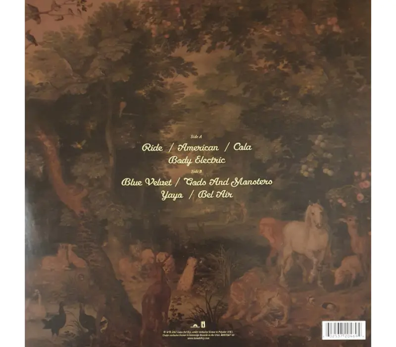 Виниловая пластинка Del Rey, Lana-Paradise: Polydor EAN:0602537204694, Kinodrive.kz &mdash; фото 2