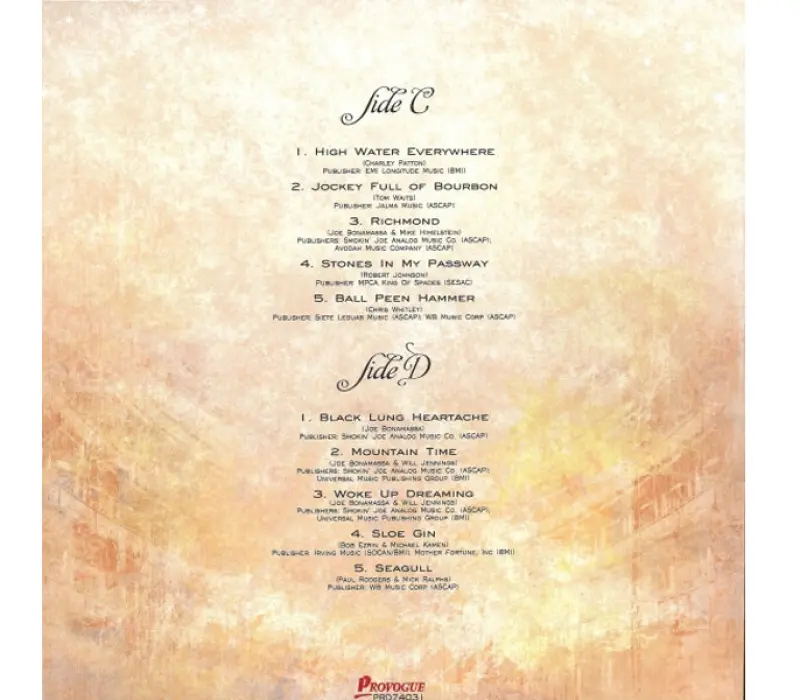 Виниловая пластинка BONAMASSA JOE: AN ACOUSTIC EVENENING(2LP) EAN:8712725740315, Kinodrive.kz &mdash; фото 3