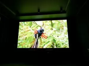 Акустика KEF и проектор JVC в домашнем кинозале в Алматы