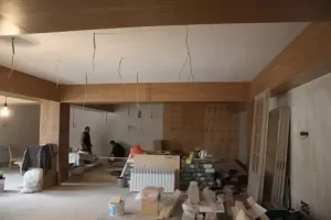 Домашнее караоке, кинозал и интерактивный гольф на базе Optoma, AUDAC и Polk Audio