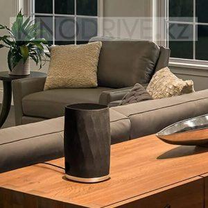 Беспроводная акустическая система BOWERS & WILKINS Formation Flex Черный