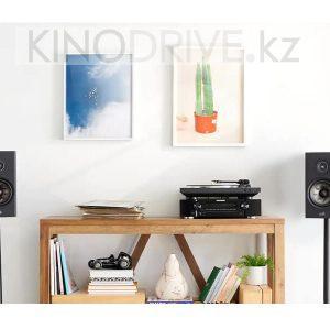 Стереопара акустической системы Polk Audio Reserve R100 Черный