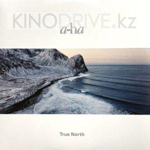 Виниловая пластинка A-Ha - True North: Rca