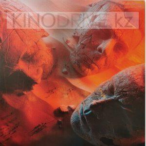 Виниловая пластинка Muse – Will Of The People: Warner